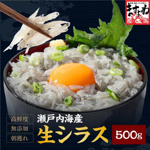 お刺身OK！瀬戸内海産！無添加＆無着色！高鮮度の生しらす500g（100g×5パック）♪瀬戸内海にて朝獲れ漁獲！船上段階で低温管理し、スラリーアイスと海水使用で高鮮度を維持、苦みが少なくプリプリの食感♪しっかりシラスの美味しさをご提供いたし...