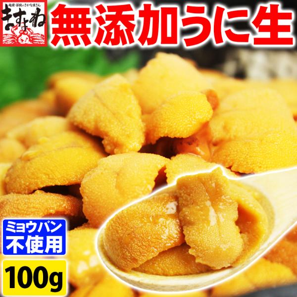 在庫処分セール 賞味期限7月末 ウニ うに ミョウバン不使用 無添加 生ウニ チリ産 100g ブランチング処理済 送料別途 冷凍便送料無料品と同梱＆同決済で送料0円