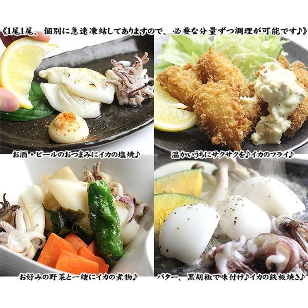 在庫切れ 奥様絶賛の万能食材 手軽におかず1品増 完全下処理 捌き済ヤリイカ 小サイズ 1kg 約30 40尾入 加熱用 冷凍便 送料無料 Buyee Buyee Japanese Proxy Service Buy From Japan Bot Online