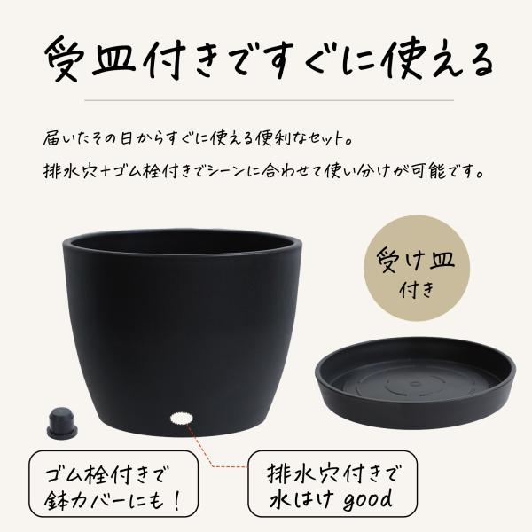 �A�ؔ� ������� 5�� �a14cm�~����10cm �󂯎M�t�� ���핗 �ی^ �y�� �v���X�`�b�N �� �� �O���[ ���� ���O �ϗt�A�� ���J�o�[ LU-FRO L-Plants B lp-b2 ���i�摜4