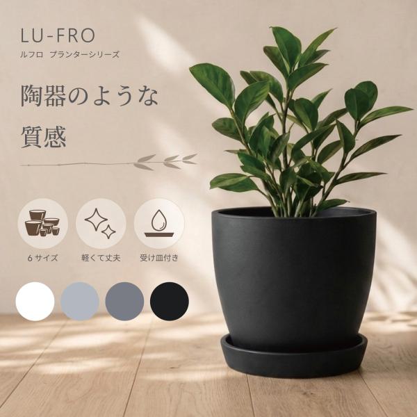 �A�ؔ� ������� 6�� �a16.5cm�~����12.5cm �󂯎M�t�� ���핗 �ی^ �y�� �v���X�`�b�N �� �� �O���[ ���� ���O �ϗt�A�� ���J�o�[ LU-FRO B�V���[�Y lp-b3 ���i�摜
