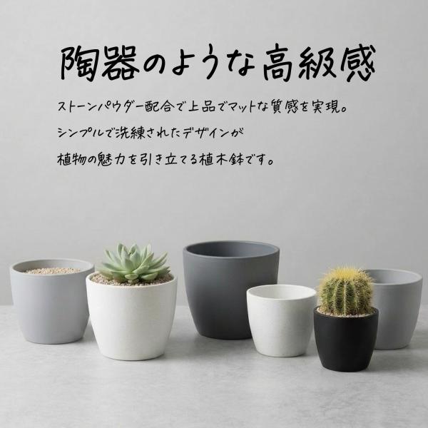 �A�ؔ� ������� 6�� �a16.5cm�~����12.5cm �󂯎M�t�� ���핗 �ی^ �y�� �v���X�`�b�N �� �� �O���[ ���� ���O �ϗt�A�� ���J�o�[ LU-FRO L-Plants B ���i�摜2