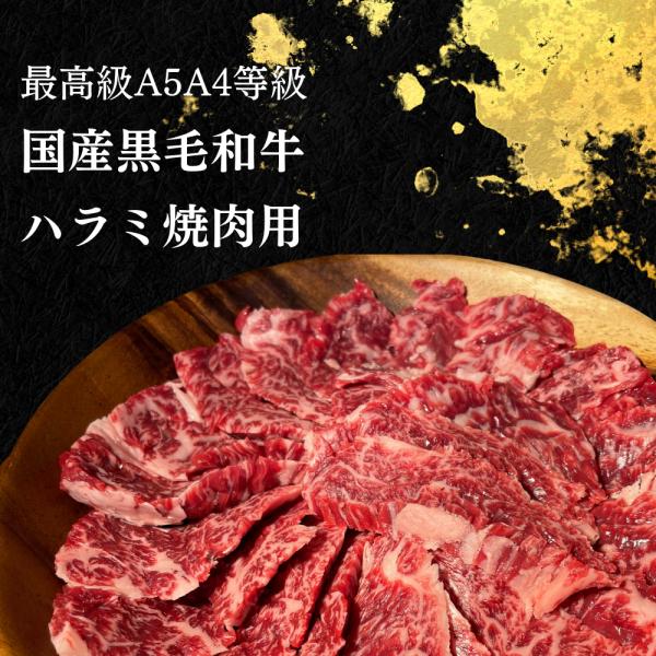 ���јa�� �΂�n���~ 400g A4�EA5 �󏭕��� �ē��p ���Y�a�� ���� �ē� ������ �������� ���i�摜2