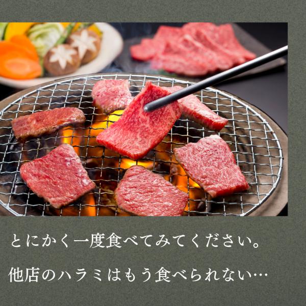 ���јa�� �΂�n���~ 400g A4�EA5 �󏭕��� �ē��p ���Y�a�� ���� �ē� ������ �������� ���i�摜3