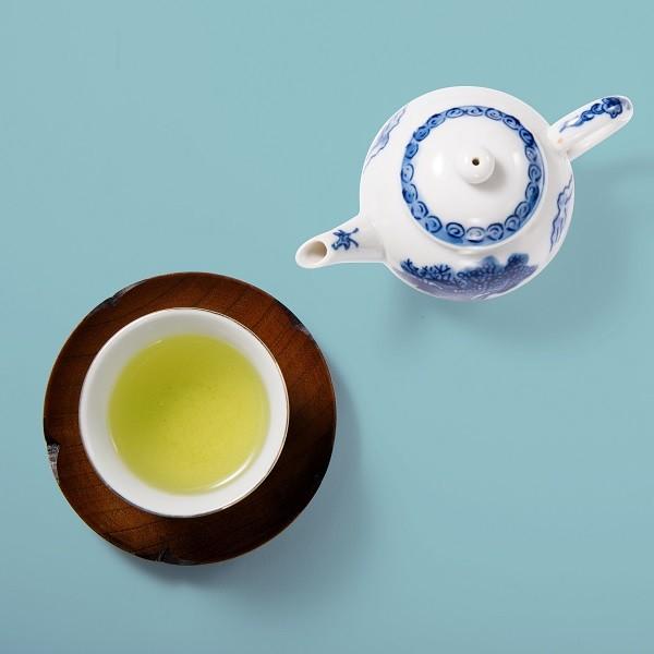 宮崎県産 都城 煎茶 100g袋入　お中元 お茶 緑茶 日本茶 やぶきた プレゼント 贈り物 ギフト 高級煎茶 煎茶 お取り寄せ お土産 帰省土産 クリスマス