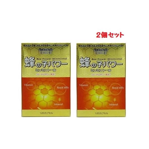 蜂の子パワー ミンミントール 120カプセル 2個セット　ナカトミ