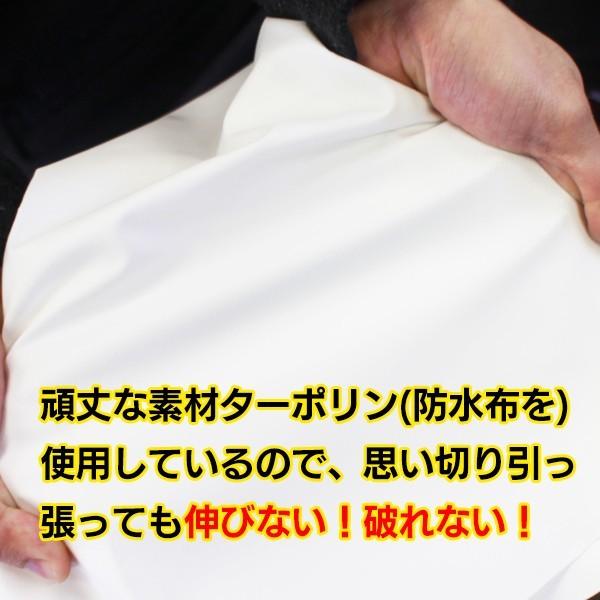 カラーコーン 三角コーン カバー コーンカバー 氷 かき氷 青 ブルー イベント お祭り 出店 屋台 ポップ Pop イラスト アドカバー 5枚セット まとめ売り Buyee Buyee บร การต วกลางจากญ ป น ซ อจากประเทศญ ป น