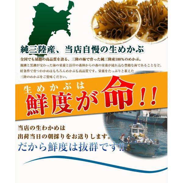 期間限定 生わかめ 生めかぶ 各1kg しゃぶしゃぶセット 送料無料 宮城県 南三陸 石巻産 産地よりお届け 復興支援 父の日ギフト Prettyfunnyballoons Com