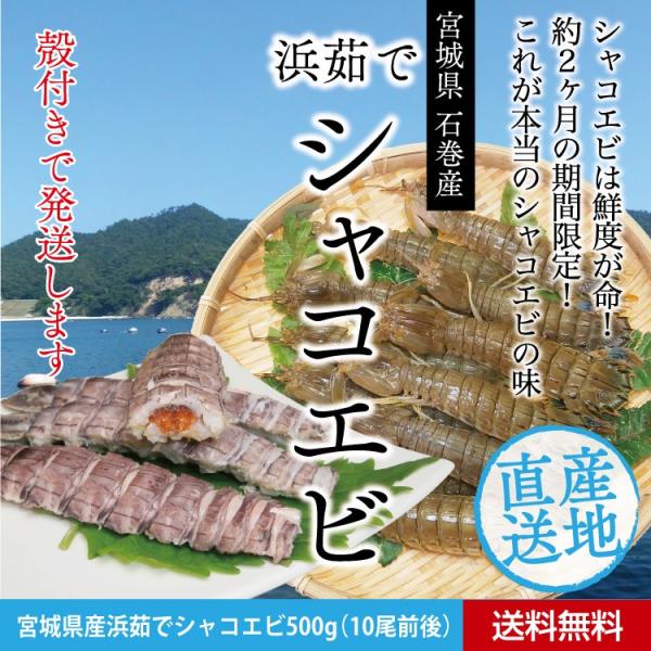 4月日頃 出荷予定 宮城県石巻産 浜茹で しゃこ えび ボイル済 500g 送料無料 蝦蛄 シャコ エビ ガサエビ 配送日時指定不可 父の日ギフト Buyee Buyee 日本の通販商品 オークションの代理入札 代理購入