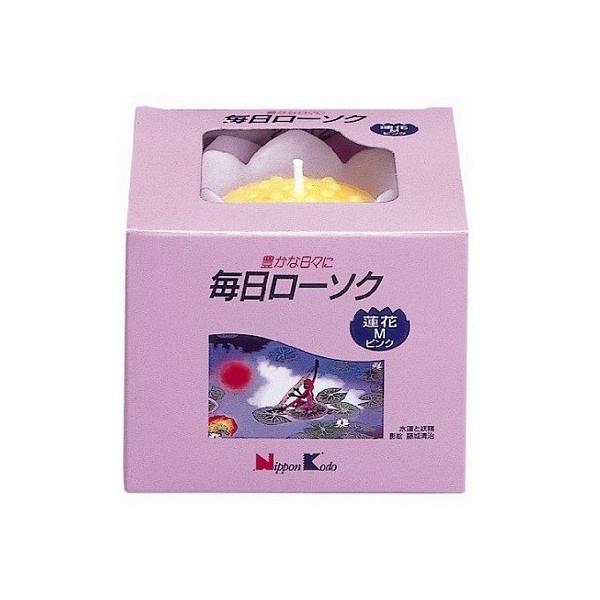 ()(܂ƂߔEP[X̔)[\N @ M sN 䖳i1ji48Zbgj/ {