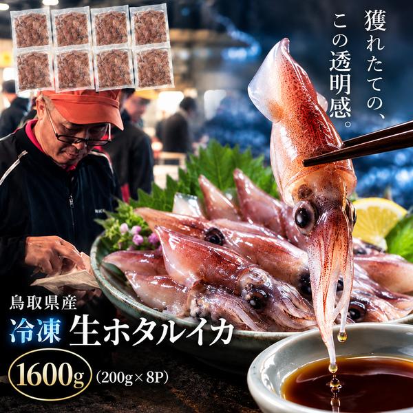 生ホタルイカ 1600g (200g×8) 刺身用 ほたるいか 生 蛍烏賊 鳥取県産 急速冷凍 鮮度抜群 お刺身 生食可 海鮮 ギフト 敬老の日 お歳暮 産地直送 珍味 中村商店