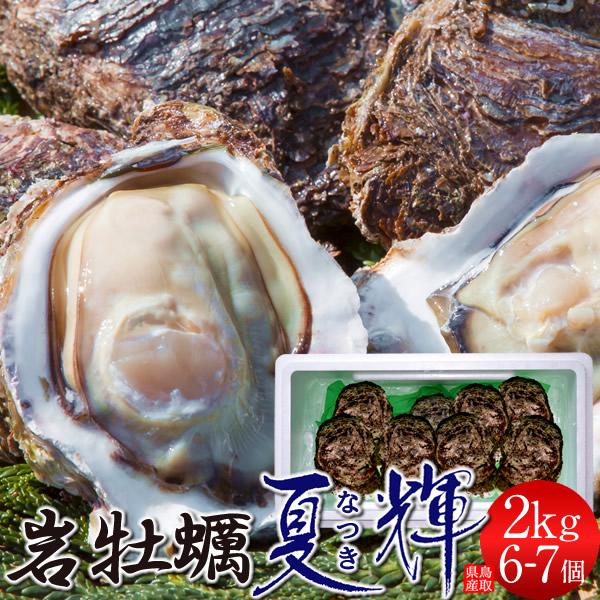 生牡蠣【6月解禁】2kg［6-7個入］岩牡蠣 天然カキ夏輝 ブランド帯なし 家庭向け 鳥取県産 生食用 岩がき［父の日ギフトお中元］