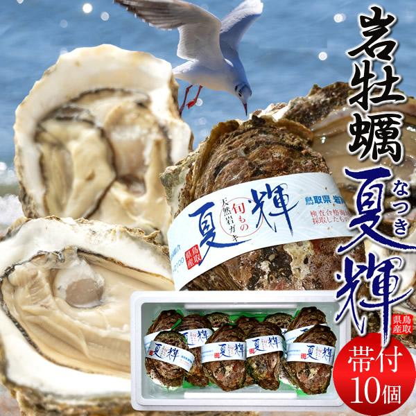 牡蠣【今が旬】夏輝10個 特大 岩牡蠣 天然 生カキ［ブランド認定帯付き］鳥取県産 生食用 大ぶり 岩がき［父の日ギフトお中元］
