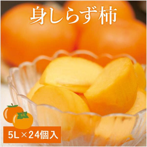 みしらず柿 5Lサイズ 大箱（10kg相当） : 会津松原農園 - 通販 - Yahoo