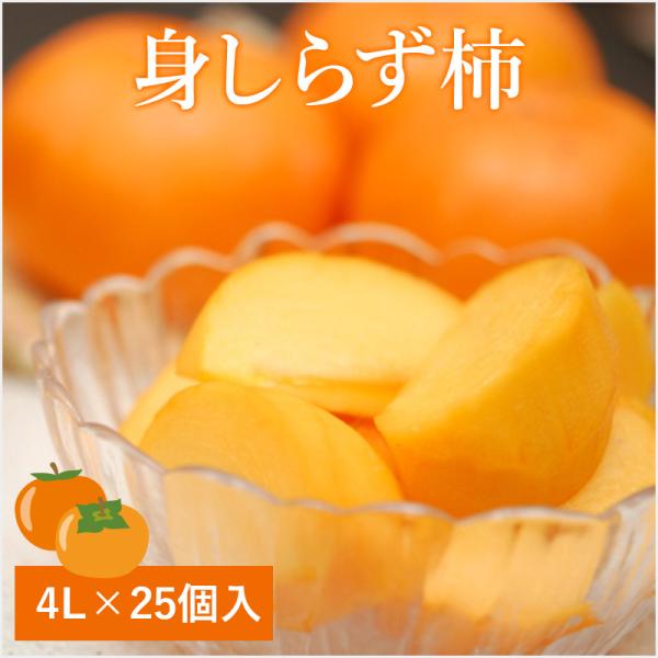 みしらず柿 4Lサイズ 大箱（10kg相当） : 会津松原農園 - 通販 - Yahoo