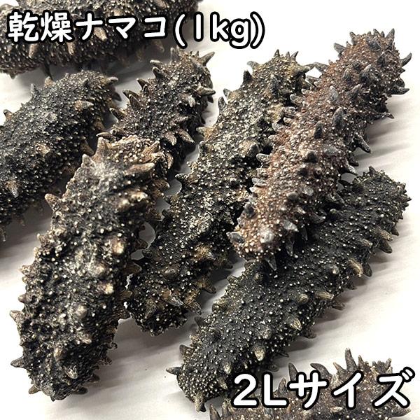 乾燥ナマコ (1kg) ＜2Lサイズ/約10〜12g＞ 北海道産 : 松葉屋 - 通販 