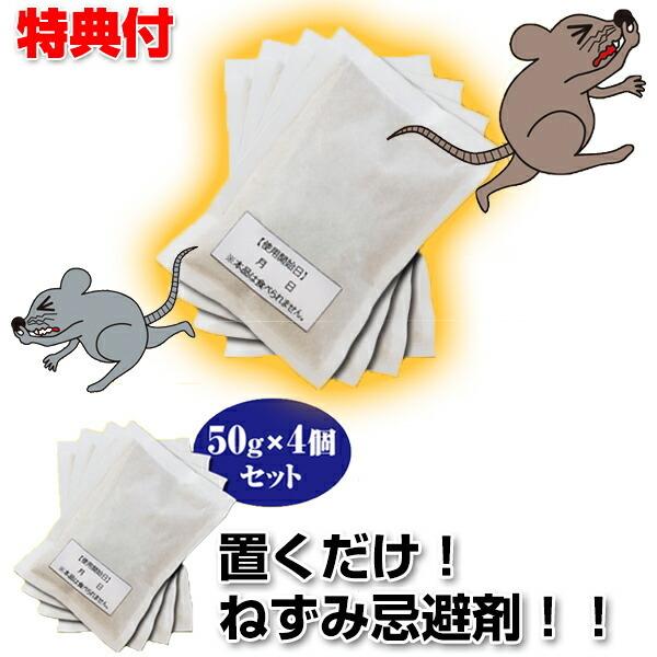 lY~ `[`[oCoCI ˂ lY~ l ˂  u Ί_   ȃlY~  lY~̌ȏL