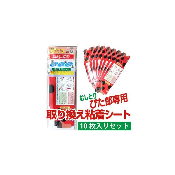 ނƂ҂Yp芷SV[g 10 Qߊl ނƂ҂YRpNg ւV[g V[g ҂YpSV[g V[g