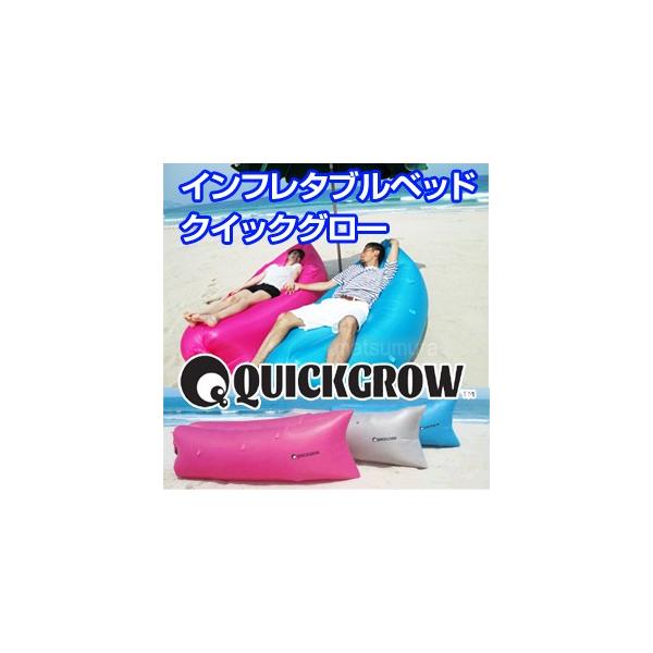 Ct^uxbh NCbNO[ QUICK GROW |vsv GAxbh GA\t@ Lv C AEghA ȈՃxbh GA[xbh o[xL[