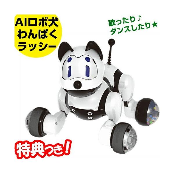 Aiロボット犬 わんぱくラッシー 会話認識ロボット 音声認識人工知能搭載 犬型ロボット 動く 踊る ワンワン鳴く 動くぬいぐるみ ワンパクラッシー ち Tsu7492 マツカメネット 通販 Yahoo ショッピング