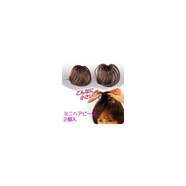 ミニヘアピース 人毛100％ 部分かつら 2個組 ヘアピース 女性用カツラ 部分カツラ パーマ 毛染め ブロー ホットカーラー