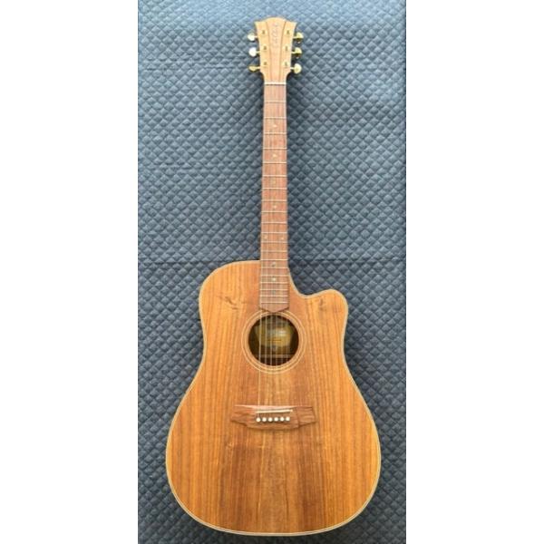 Cole Clark CCFL2EC-BLBL : マツイシ楽器店 - 通販 - Yahoo
