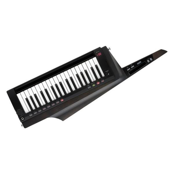 KORG（コルグ） ショルダーキーボード RK-100S2 BK キーター 【新品