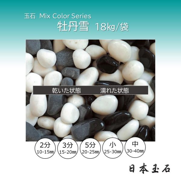 玉石2点専用 matsuisyouten_0842botanyuki