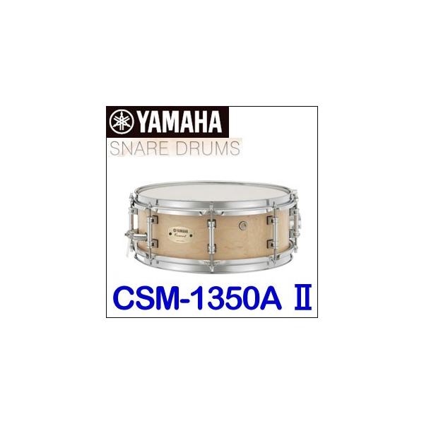 }n RT[gXlAh CSM-1350AII