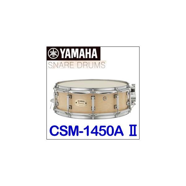 }n RT[gXlAh CSM-1450AII