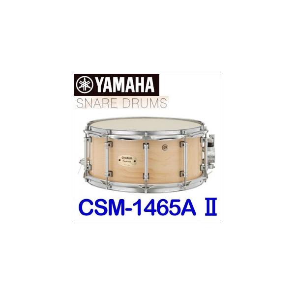 }n RT[gXlAh CSM-1465AII