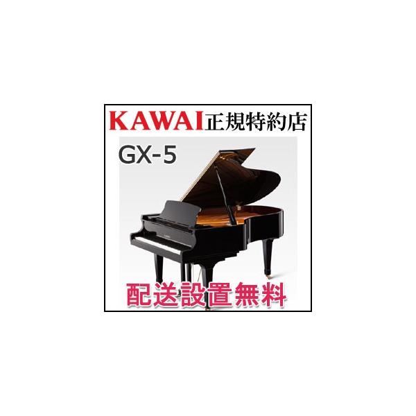 zݒu JC sAm GX-5 OhsAm Vi KAWAI [J[ [P񖳗