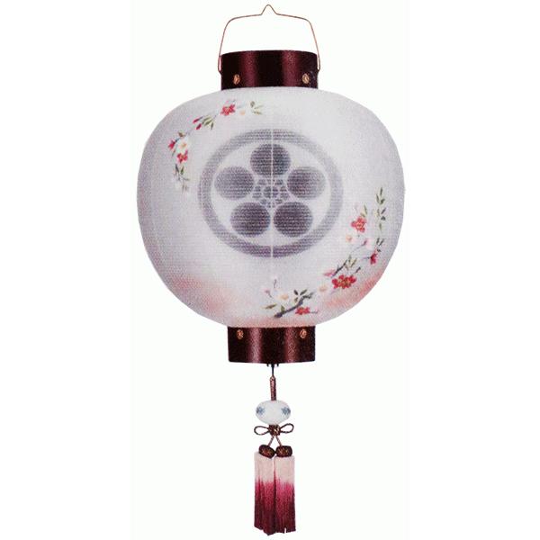 ~ R[hX Ɩ   PR   d LEDdr  ݂