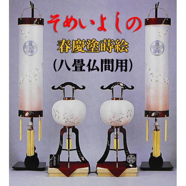 ~ Ɩ tchG g  񓔃Zbg Wԗp  _  