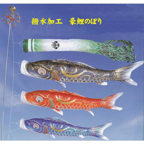 i R  ̂ڂ H |[t K[fZbg 뉀Zbg