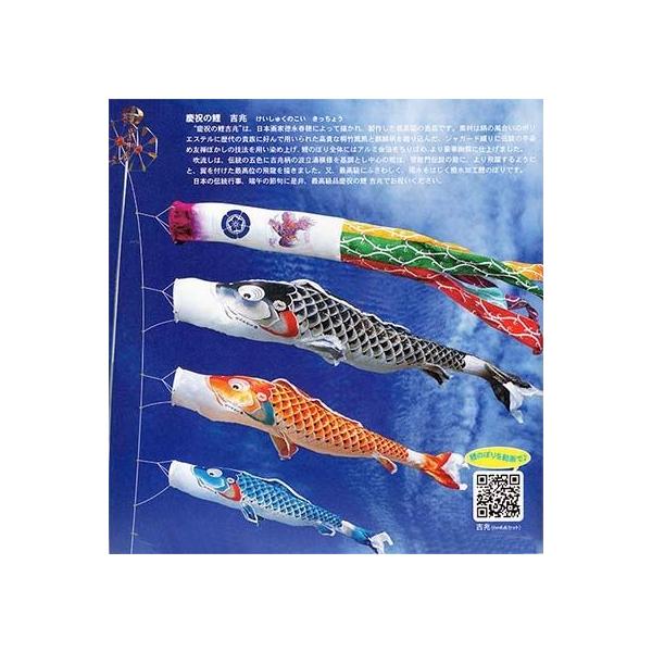 徳永鯉 3m 吉兆 鯉のぼり 撥水加工 ポール付き ガーデンセット 庭園