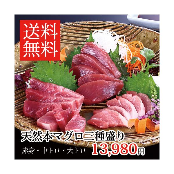 天然 本マグロ 大トロ 中トロ 赤身 三種盛り420g 冷凍 柵 刺身 北海道 本鮪 高級 セット ギフト 詰め合わせ マグロ三昧 美味しい 人気