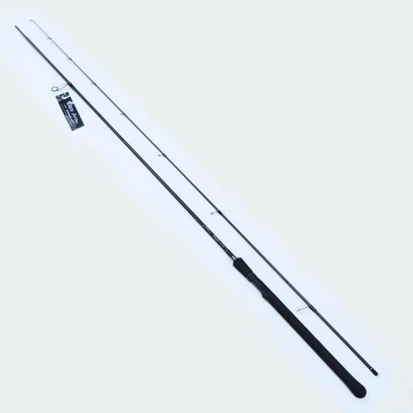 matsumoto_aims-bau93ml1