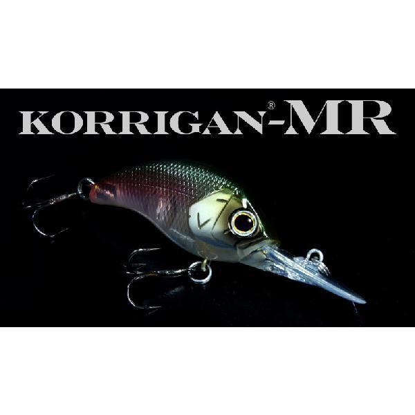 デプス コリガンMR 2011カラー deps KORRIGAN MR 2011