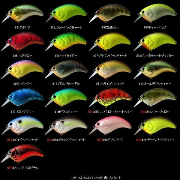 matsumoto_ds-ebk12