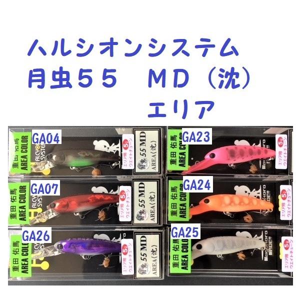 matsumoto_hs-gch55a