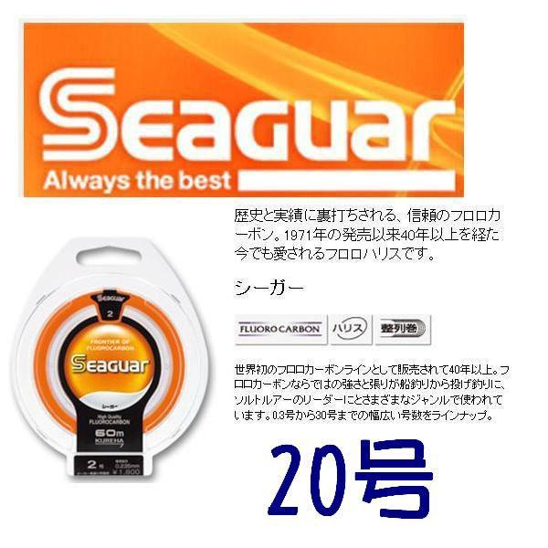 45％OFF シーガーフロロカーボン 20号 フロロ20号 : 松本釣具店