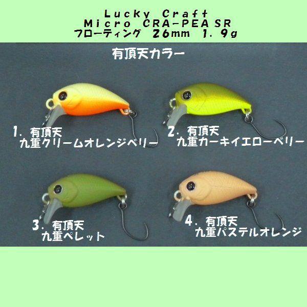 ラッキークラフト エリアマスター マイクロクラピー SR 有頂天カラー