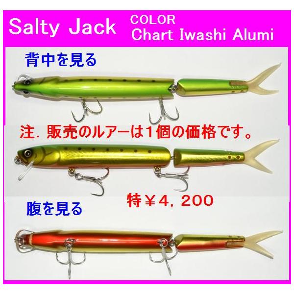 matsumoto_lsfish1