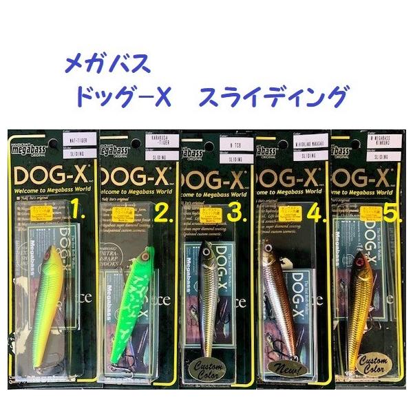 matsumoto_mb-dgxs
