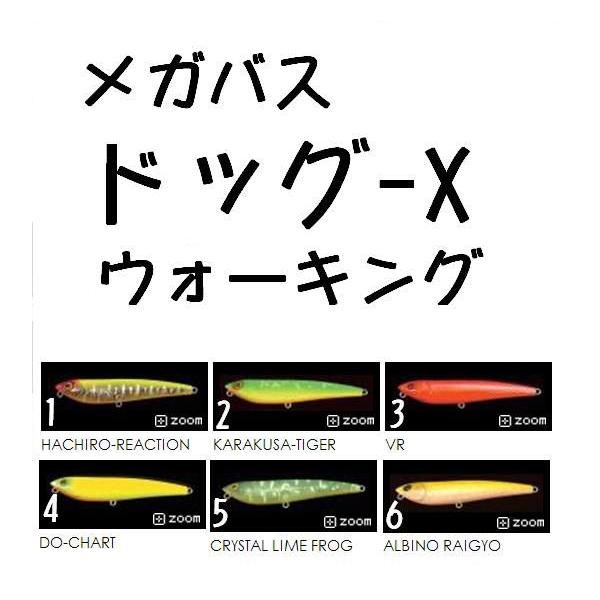 matsumoto_mb-dogxnew1