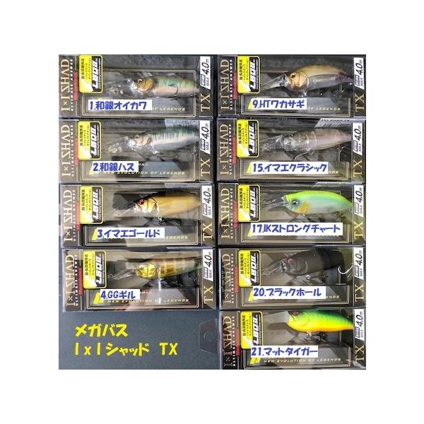 iNbN|XgjKoX@ACoCACVbh@TX / Megabass@I x I SHAD