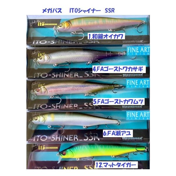 matsumoto_mb-isssr