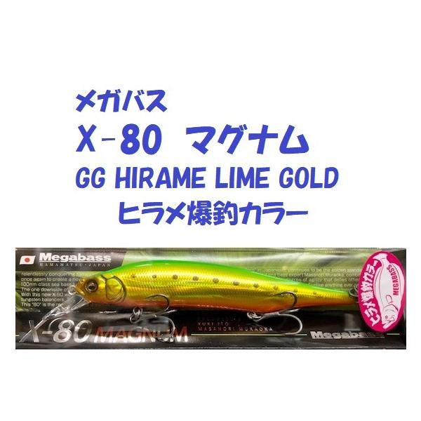 メガニウム matsumoto_mb-x80m-22