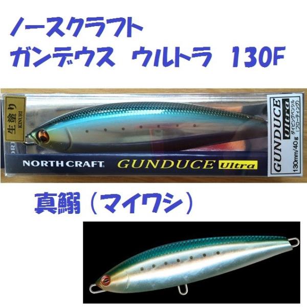 matsumoto_nc-gd1